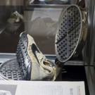 Sneaker_Auction_22273.jpg