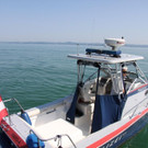 IMG_8297.JPG