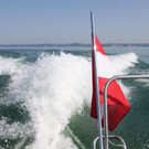 IMG_8312.JPG