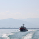 IMG_8317.JPG