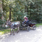 IMG-20190714-WA0060.jpg