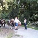 IMG-20190714-WA0061.jpg