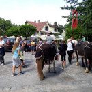 IMG-20190714-WA0064.jpg