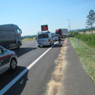 IMG_6227.jpg