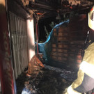 feuer8.jpg