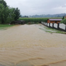 ABD0164-20190727.jpg