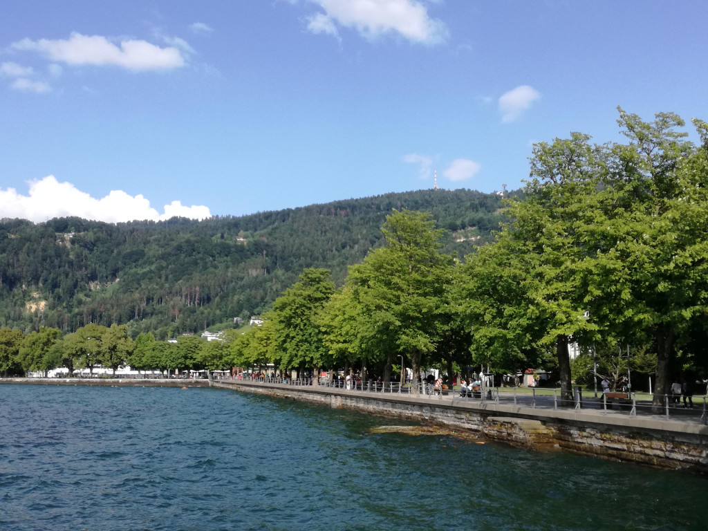IMG_20190715_172814.jpg