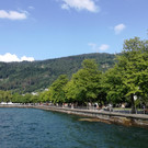 IMG_20190715_172814.jpg