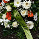 AFP_1J59MP.jpg