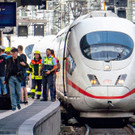 AFP_1J66X1.jpg