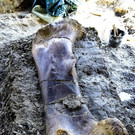 AFP_1J33P8.jpg