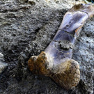 AFP_1J33P7.jpg