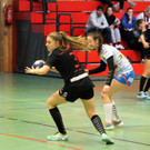 Gander und Fuchs spielen für Österreich