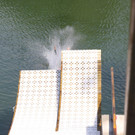 IMG_8520.JPG