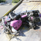 normal_24082009b150ff_24.jpg