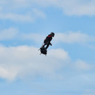 AFP_1JB2IV.jpg