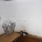 IMG_8634.JPG