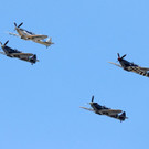 AFP_1JC1YU.jpg