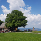 klangwandertag _3_.jpg