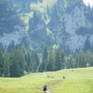 klangwandertag _17_.JPG
