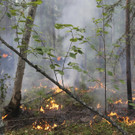 Waldbrände in Russland