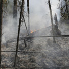 Russia_Forest_Fires_93263.jpg