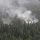 Russia_Forest_Fires_33630.jpg