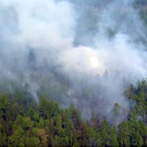 Russia_Forest_Fires_50827.jpg