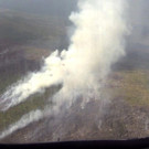 Russia_Forest_Fires_11503.jpg