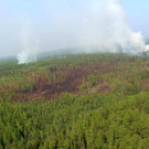 Russia_Forest_Fires_36354.jpg