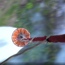 Russia_Forest_Fires_56355.jpg