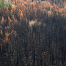AFP_1JB2PI.jpg