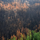 AFP_1JB2PJ.jpg