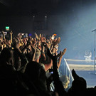 IMG_8349.JPG