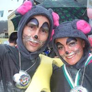 275097.jpg