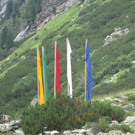 IMG_2539.JPG