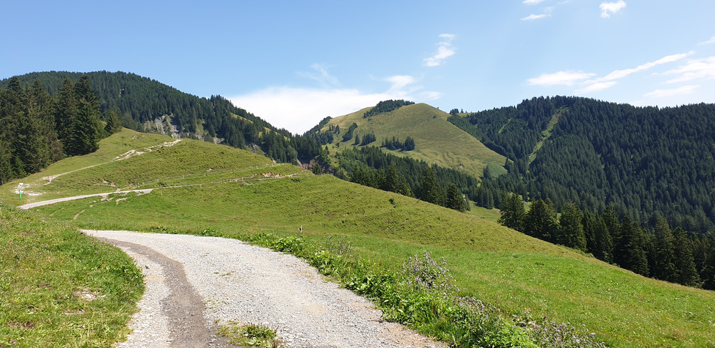alpmesse maiens____ 2019__c_sandraKathan-san _32_.jpg