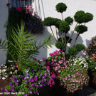 FLORA Bewertungsrundgang in Hard