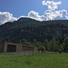 IMG_0459.JPG