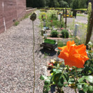 IMG_0467.JPG