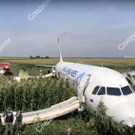 Russia_Emergency_Landing_59365.jpg
