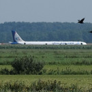 AFP_1JJ8Y1.jpg