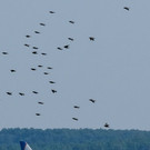 AFP_1JJ8XQ.jpg