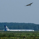 AFP_1JJ8XH.jpg