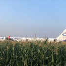 AFP_1JJ7BW.jpg