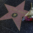 Obit_Peter_Fonda_85657.jpg