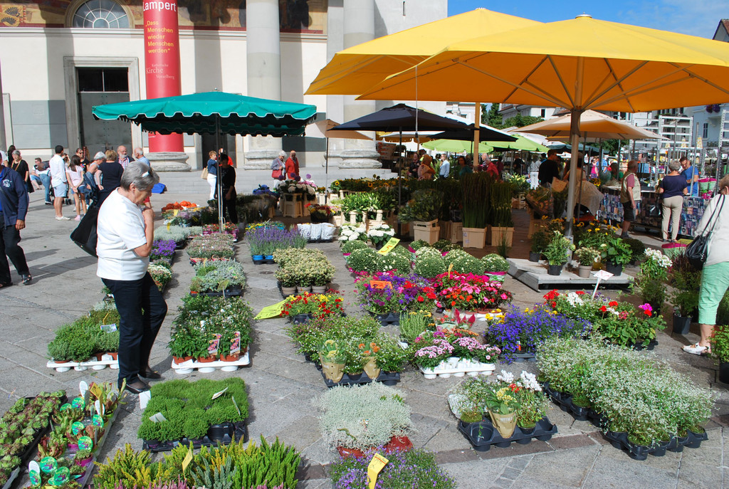 DSC_1602.JPG