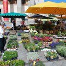 DSC_1602.JPG