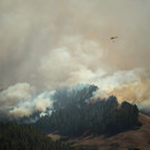 Waldbrand auf Gran Canaria