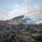 AFP_1JL9HF.jpg